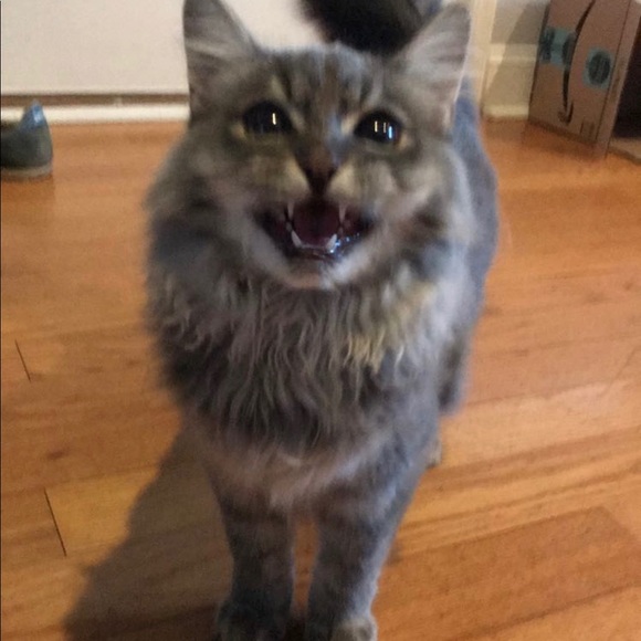 Meet your Posher, Peter - Picture 1 of 1